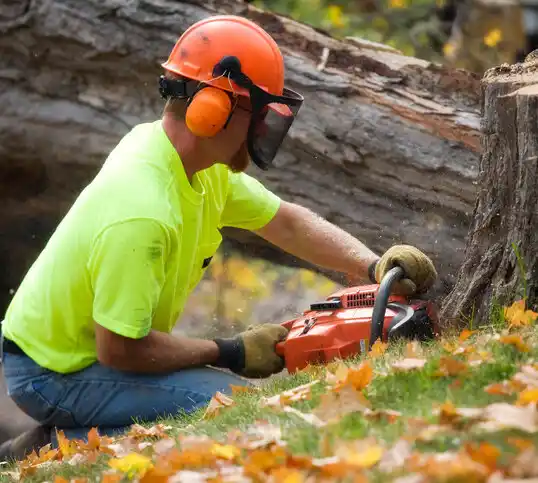 tree services Bentleyville